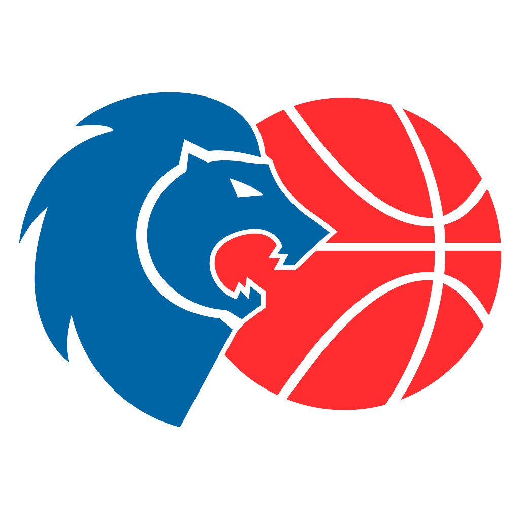 https://img.sdzyxny.com/img/basketball/team/6162ac364afbbd81d48ee577b1105bd9.png