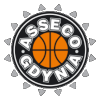 https://img.sdzyxny.com/img/basketball/team/7867484d13e764d133889a17852c3d8a.png